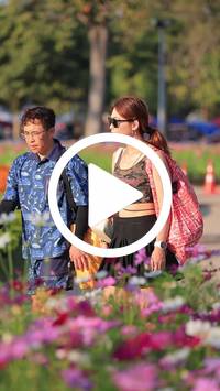 BIB:  <button type="button" onclick="openModal(27588730)" class="btn btn-primary btn-sm float-right" data-toggle="modal" data-target=".modal-high-quality">
                <i class="fa fa-download"></i> Download
                </button>